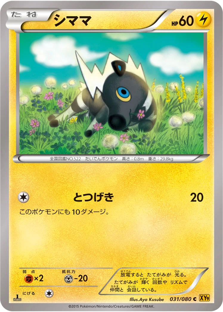シママ (XY9-B 031/080)