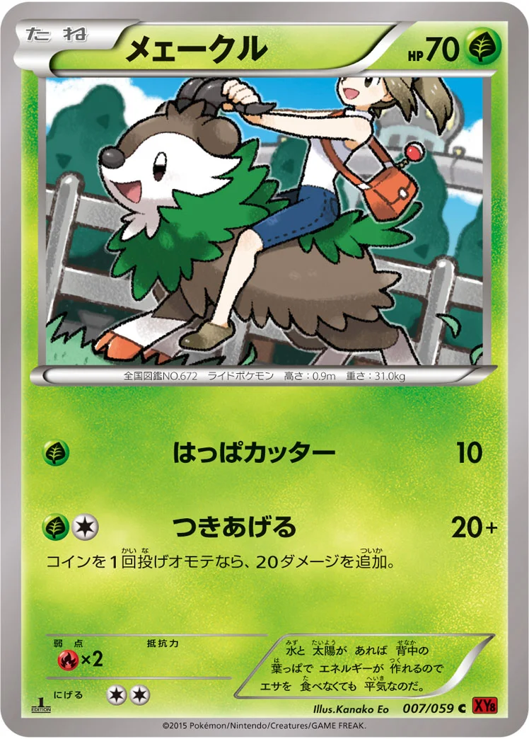メェークル (XY8-Br 007/059)