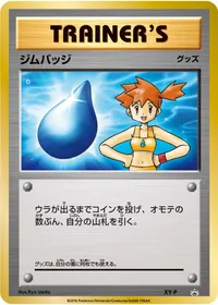 ジムバッジ (XYP XY) - ミラー