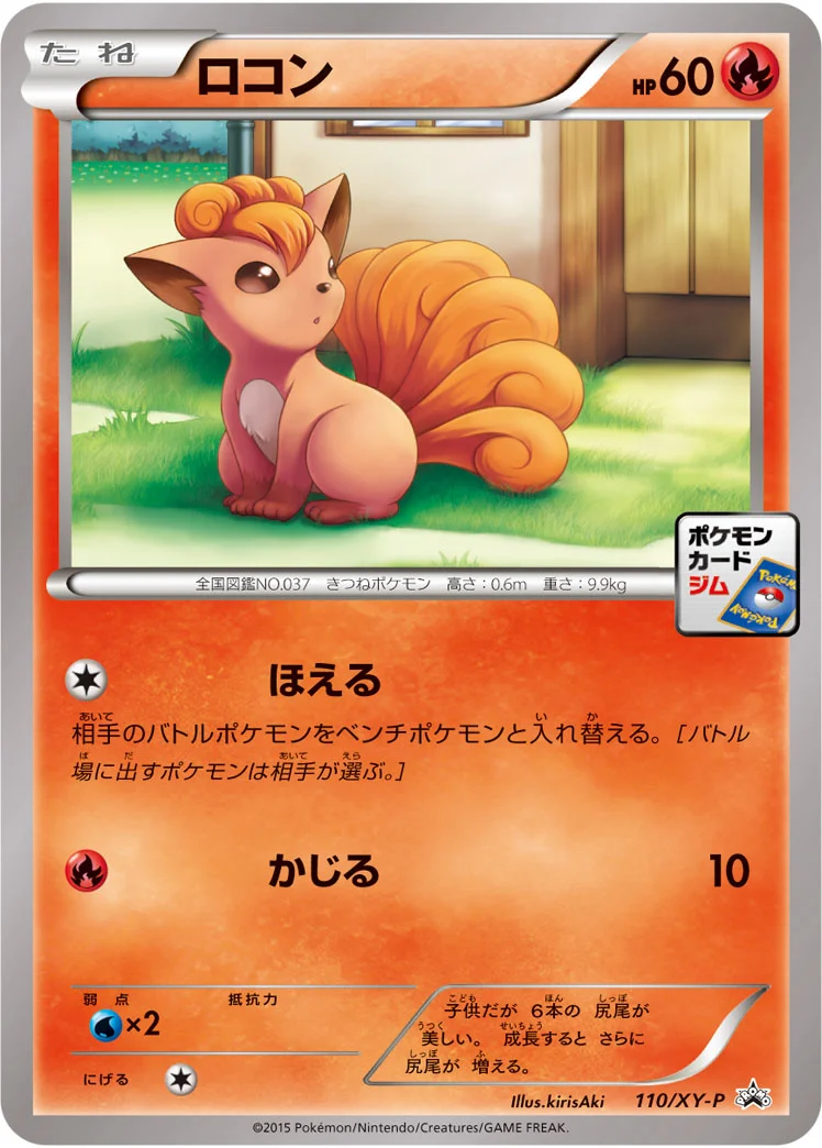 ロコン (XYP 110/XY-P)