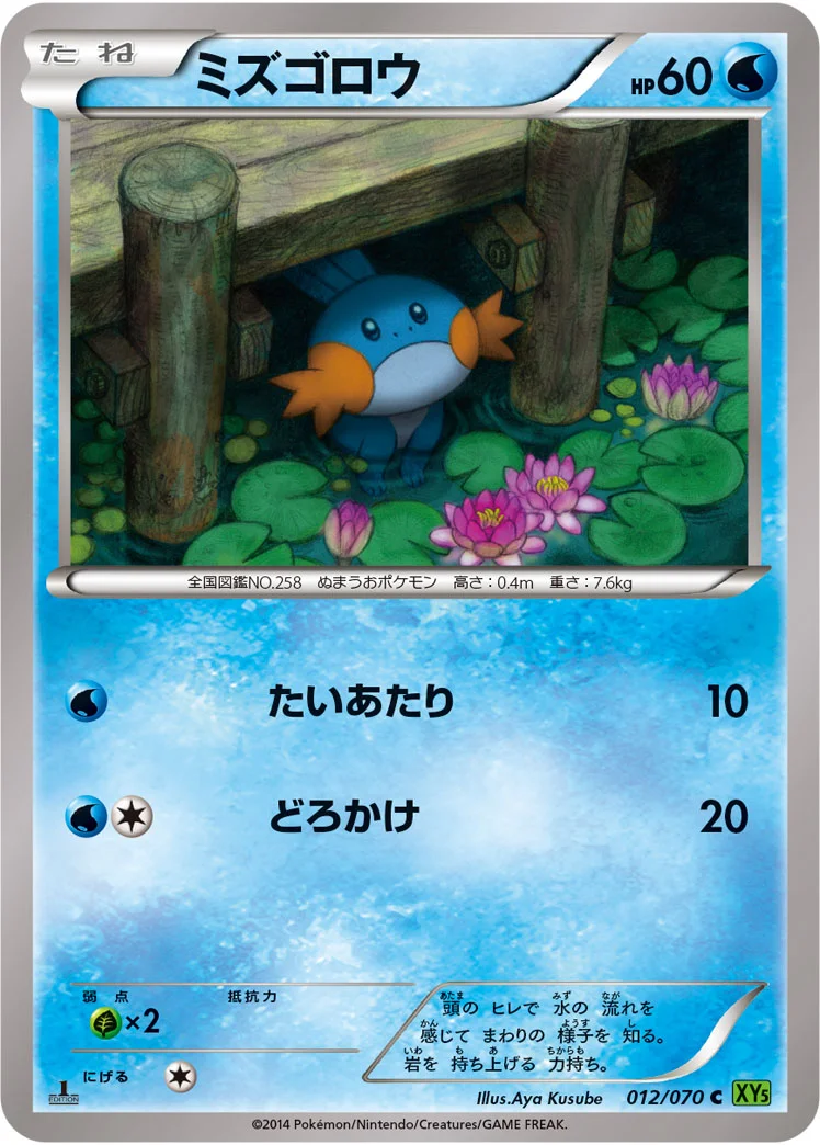 ミズゴロウ (XY5-Bt 012/070)
