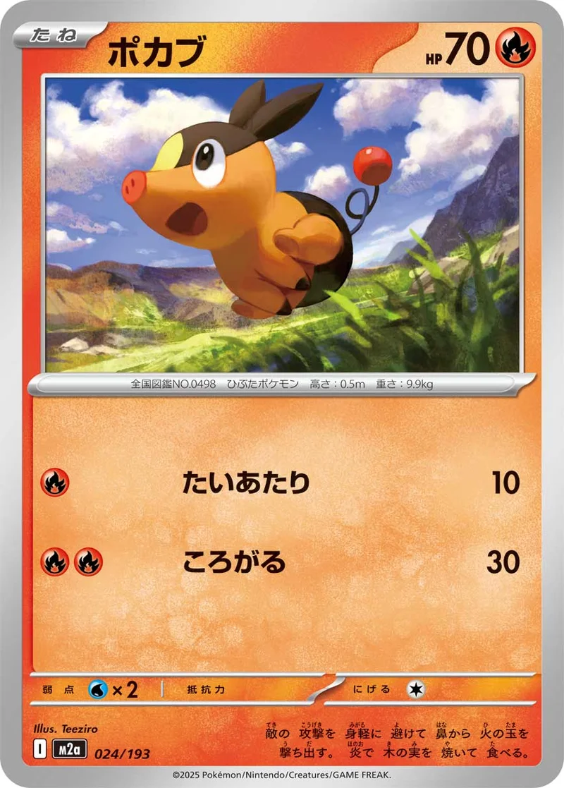 ポカブ (M2a 024/193)