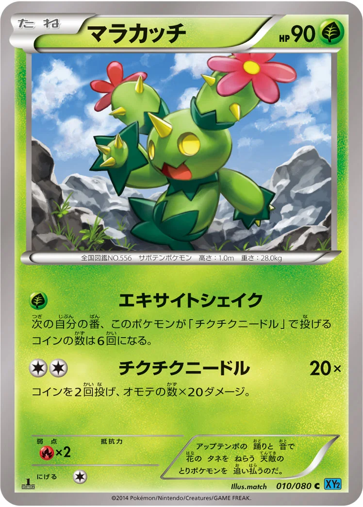 マラカッチ (XY2 010/080)