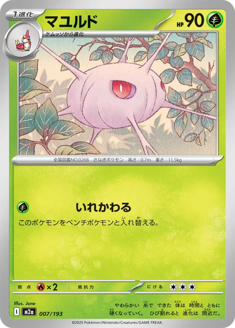 マユルド (M2a 007/193)
