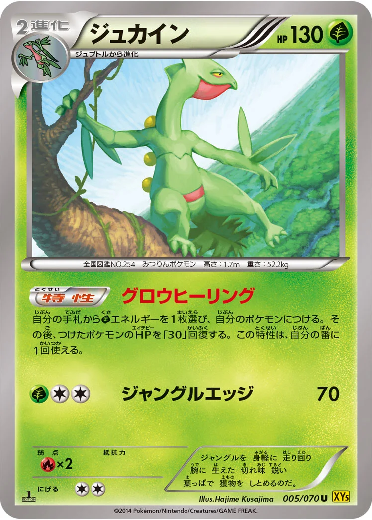 ジュカイン (XY5-Bg 005/070)