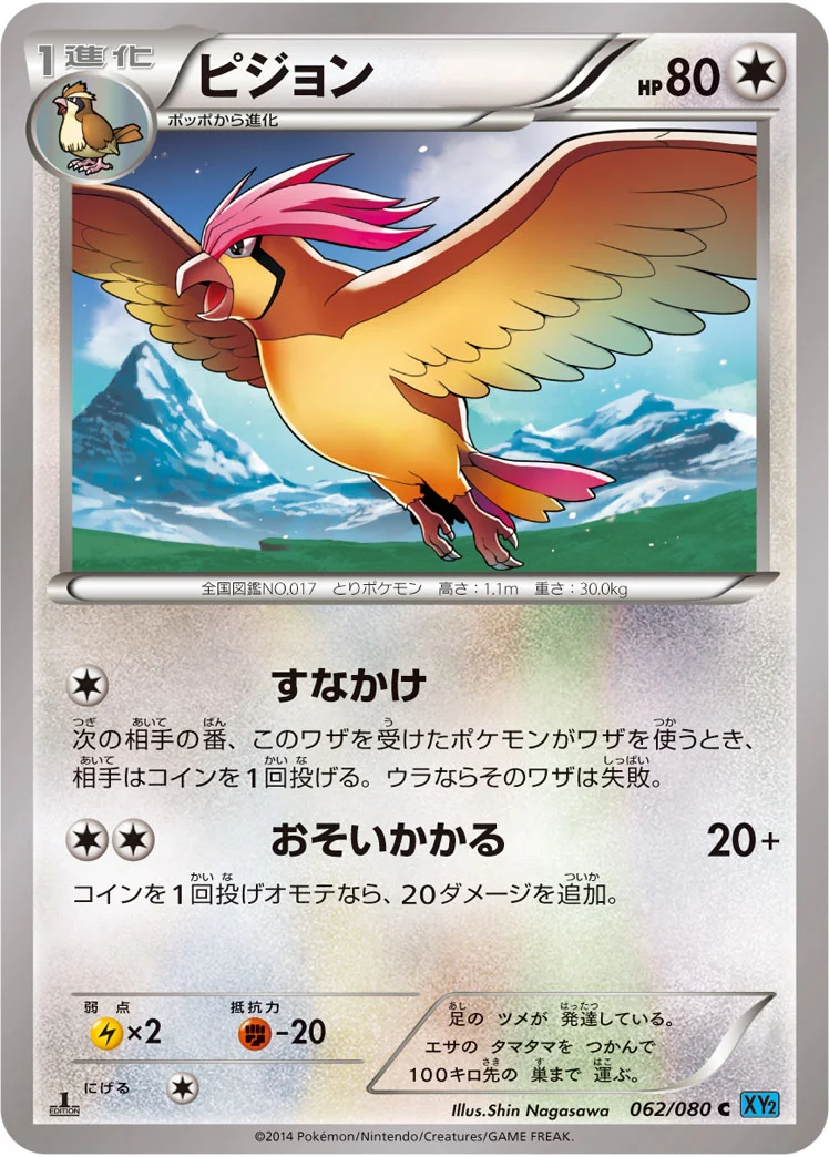 ピジョン (XY2 062/080)