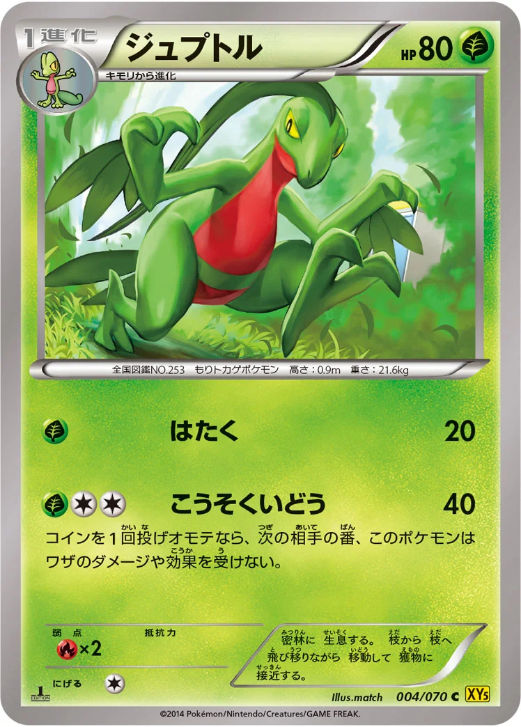 ジュプトル (XY5-Bg 004/070)