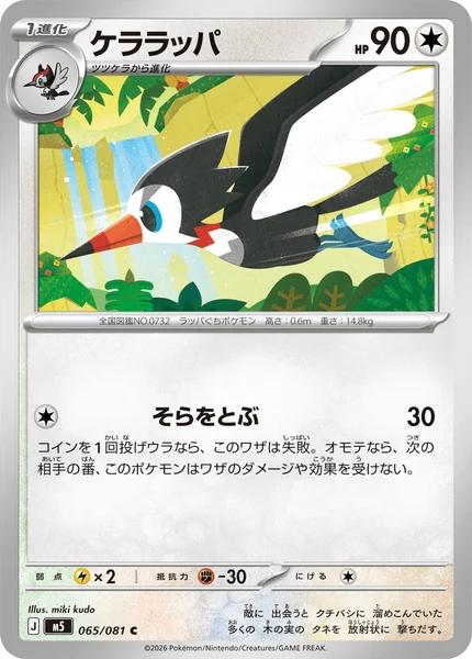 ケララッパ (M5 065/081)