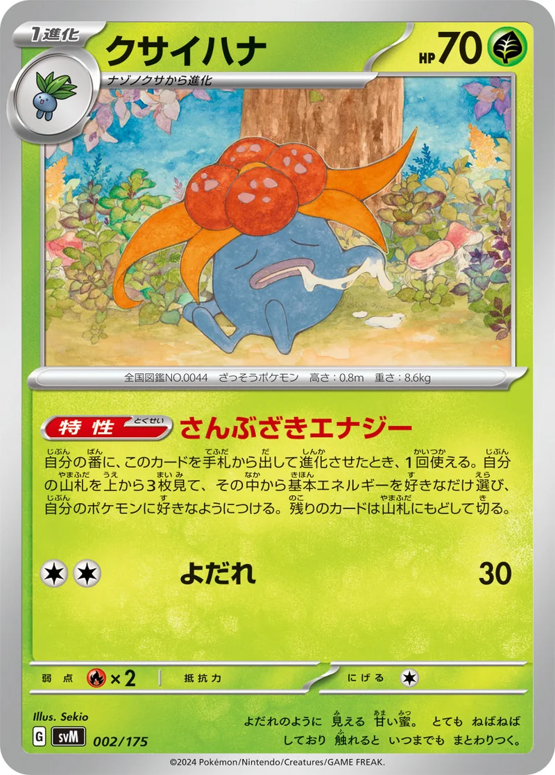 クサイハナ (SVM 002/175)