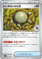 古びたずがいの化石 (M5 071/081) - C