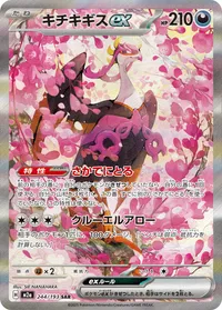 キチキギスex (M2a 244/193) - SAR