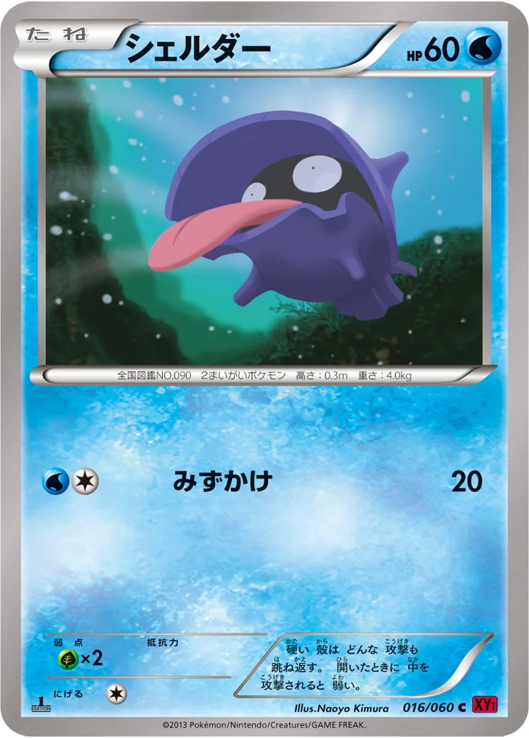 シェルダー (XY1-By 016/060)