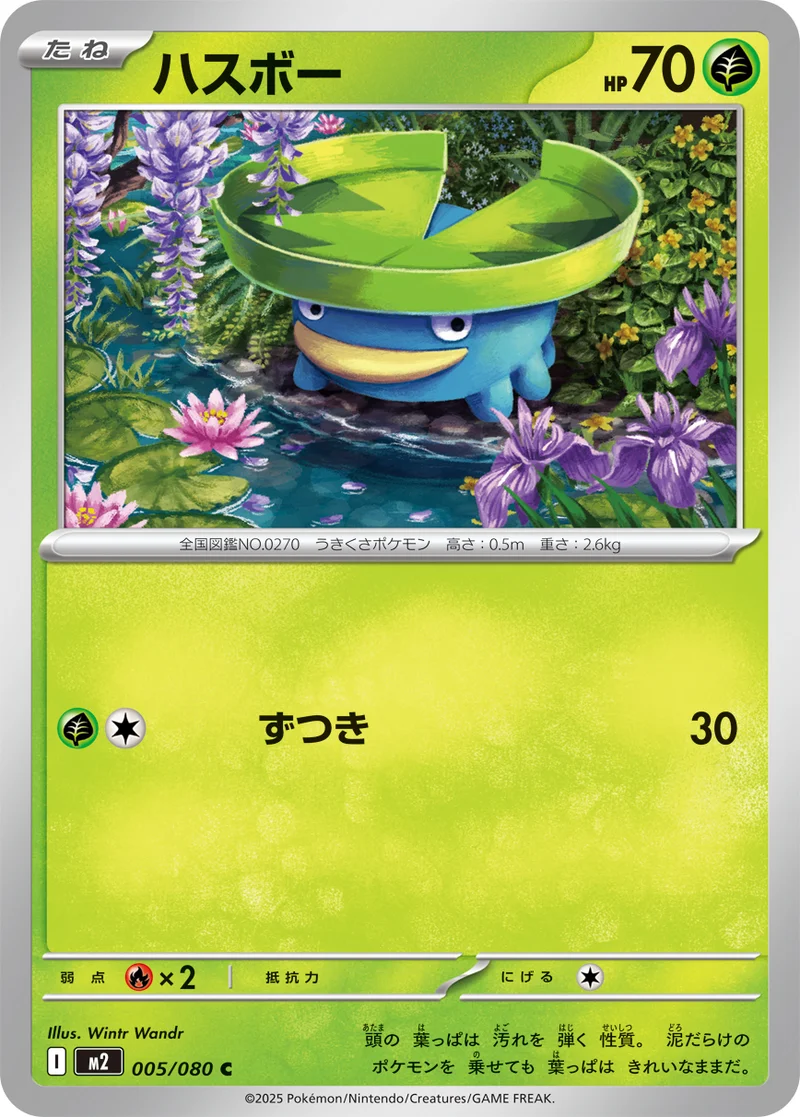 ハスボー (M2 005/080)