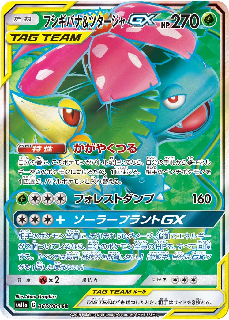 フシギバナ&ツタージャGX (SM11a 065/064)