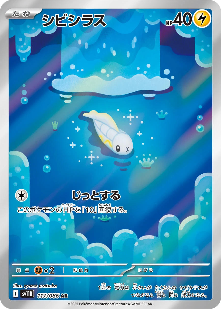 シビシラス FRONT