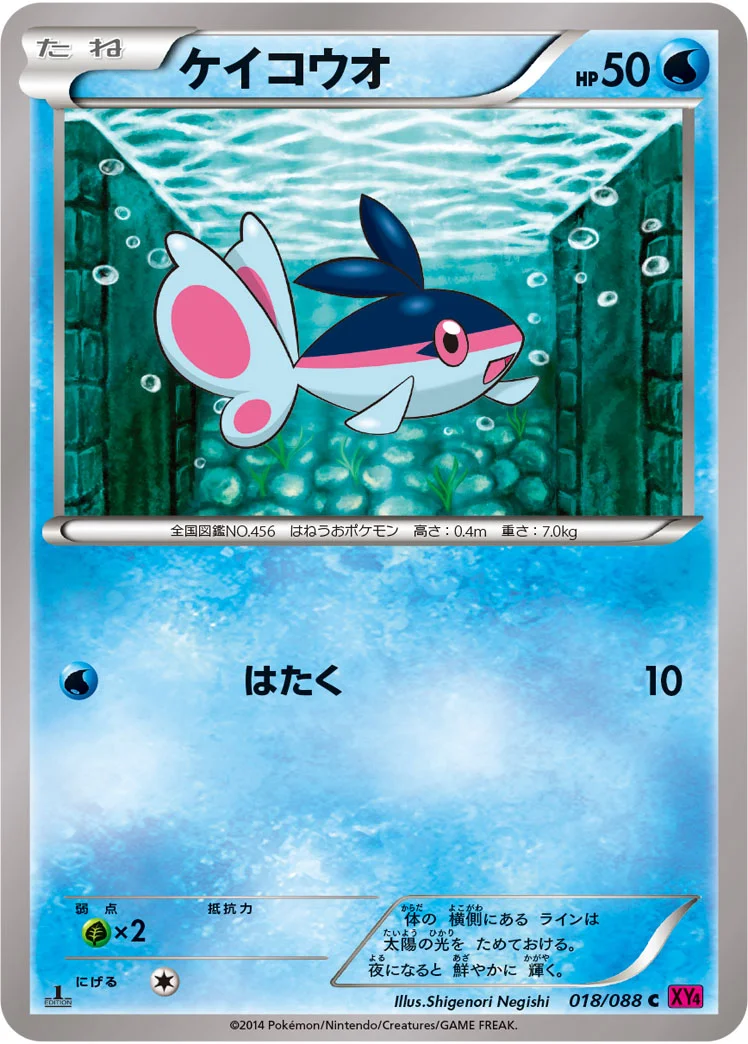 ケイコウオ (XY4 018/088)