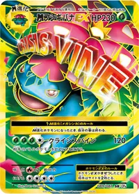 MフシギバナEX (CP6 089/087) - SR