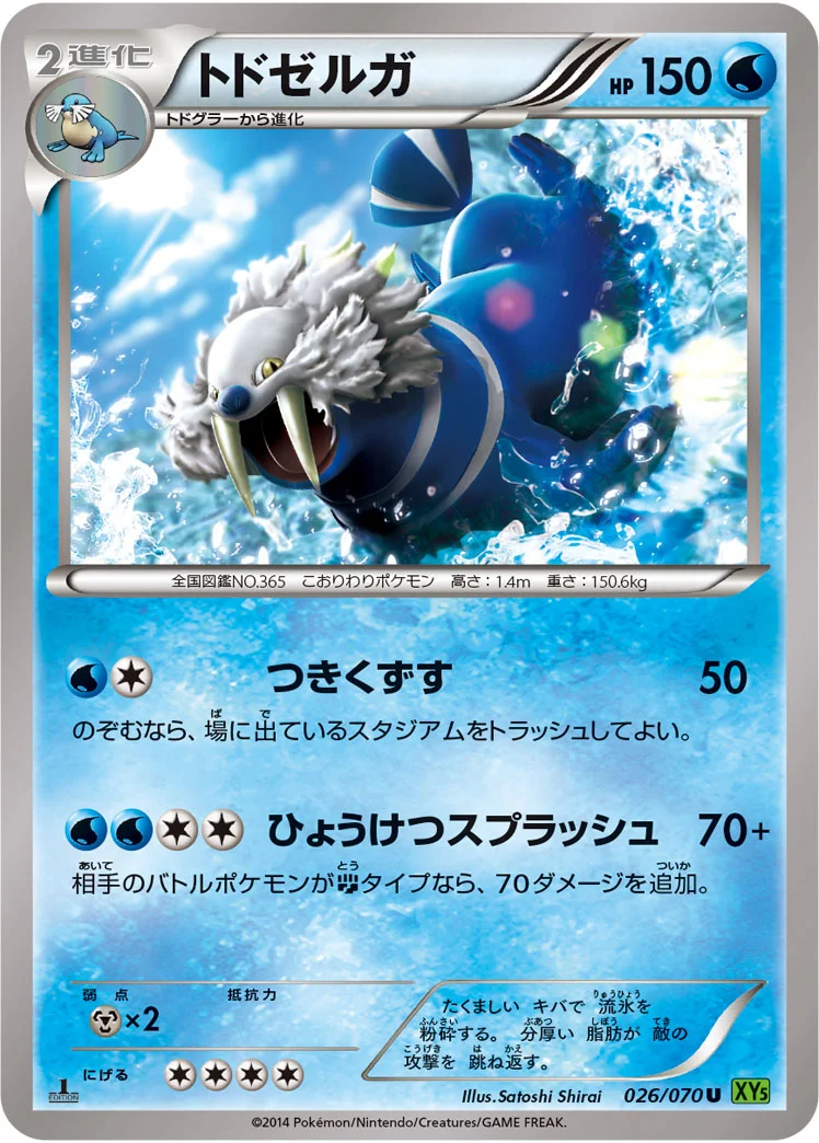 トドゼルガ (XY5-Bt 026/070)