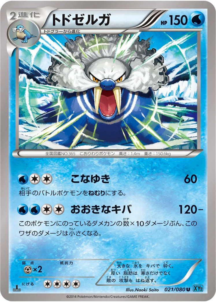 トドゼルガ (XY2 021/080)