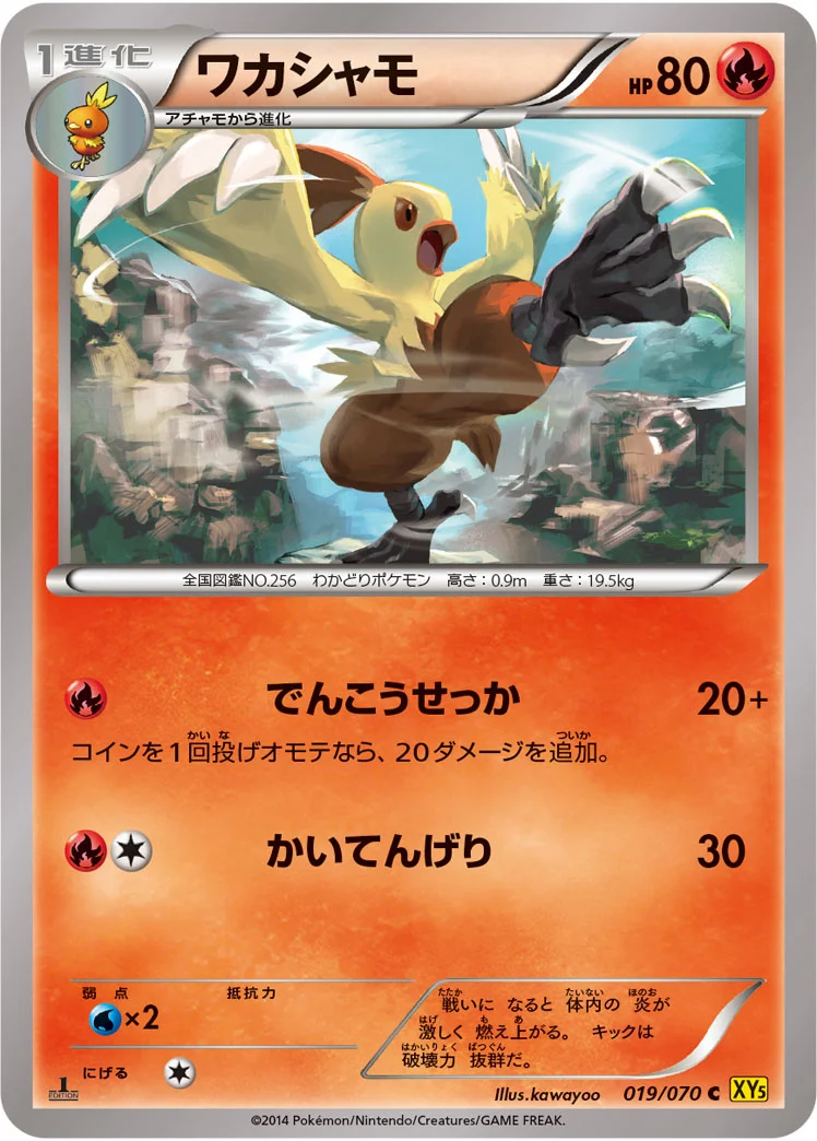ワカシャモ (XY5-Bg 019/070)