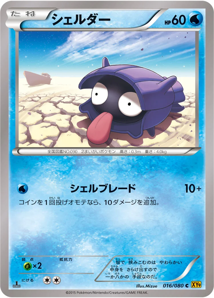 シェルダー (XY9-B 016/080)