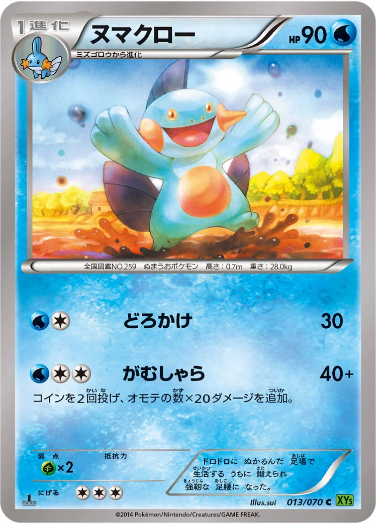 ヌマクロー (XY5-Bt 013/070)