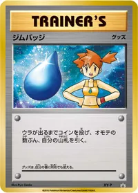 ジムバッジ (XYP XY) - ミラー