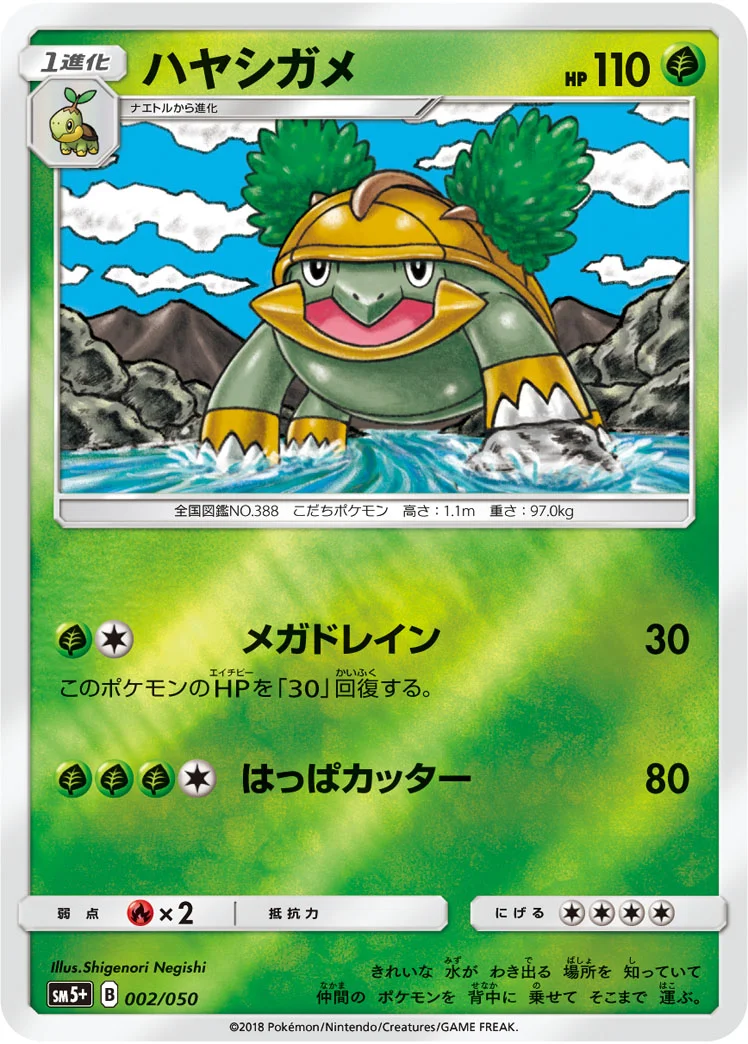 ハヤシガメ (SM5p 002/050)