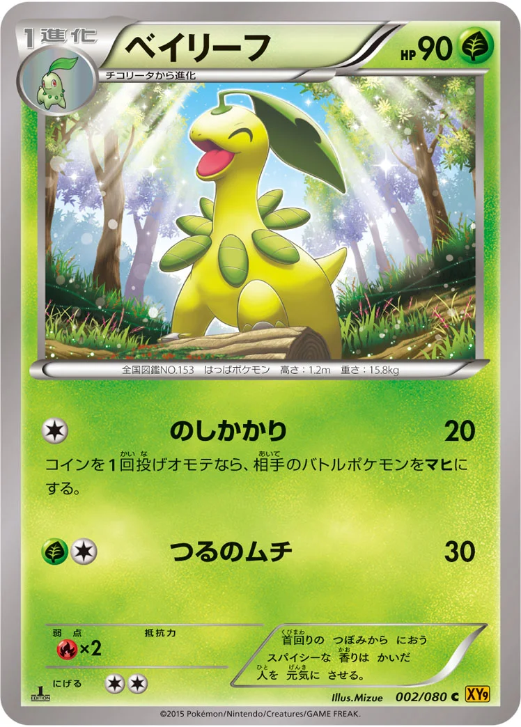 ベイリーフ (XY9-B 002/080)
