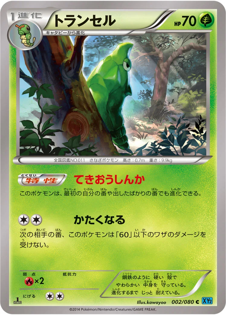 トランセル (XY2 002/080)