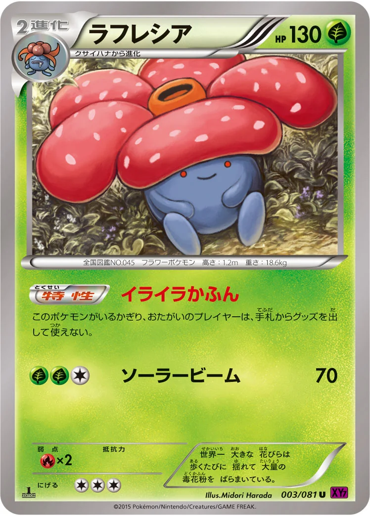 ラフレシア (XY7-B 003/081)