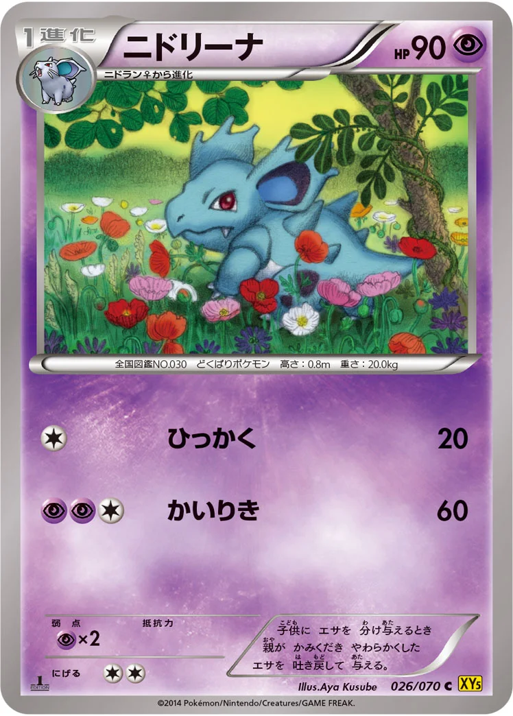 ニドリーナ (XY5-Bg 026/070)