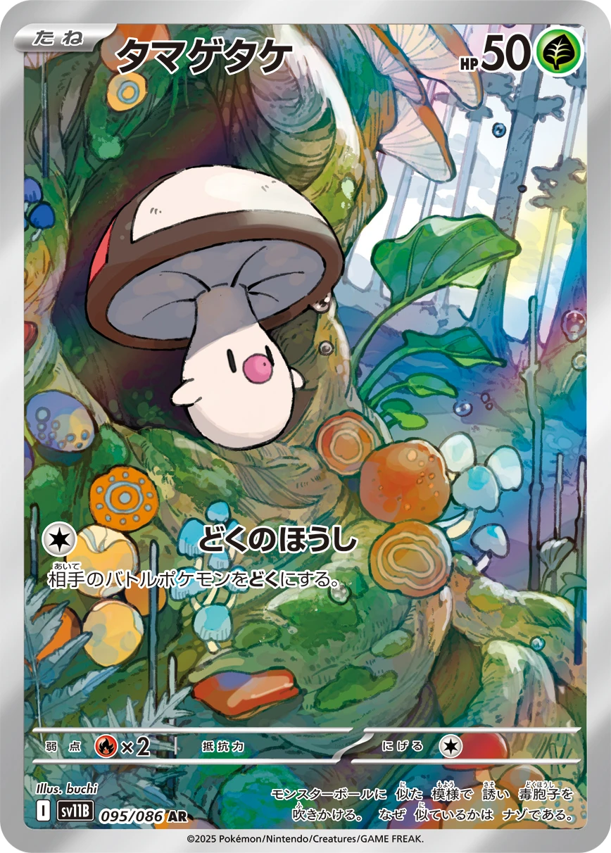 タマゲタケ FRONT