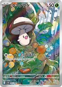 タマゲタケ (SV11B 095/086) - AR