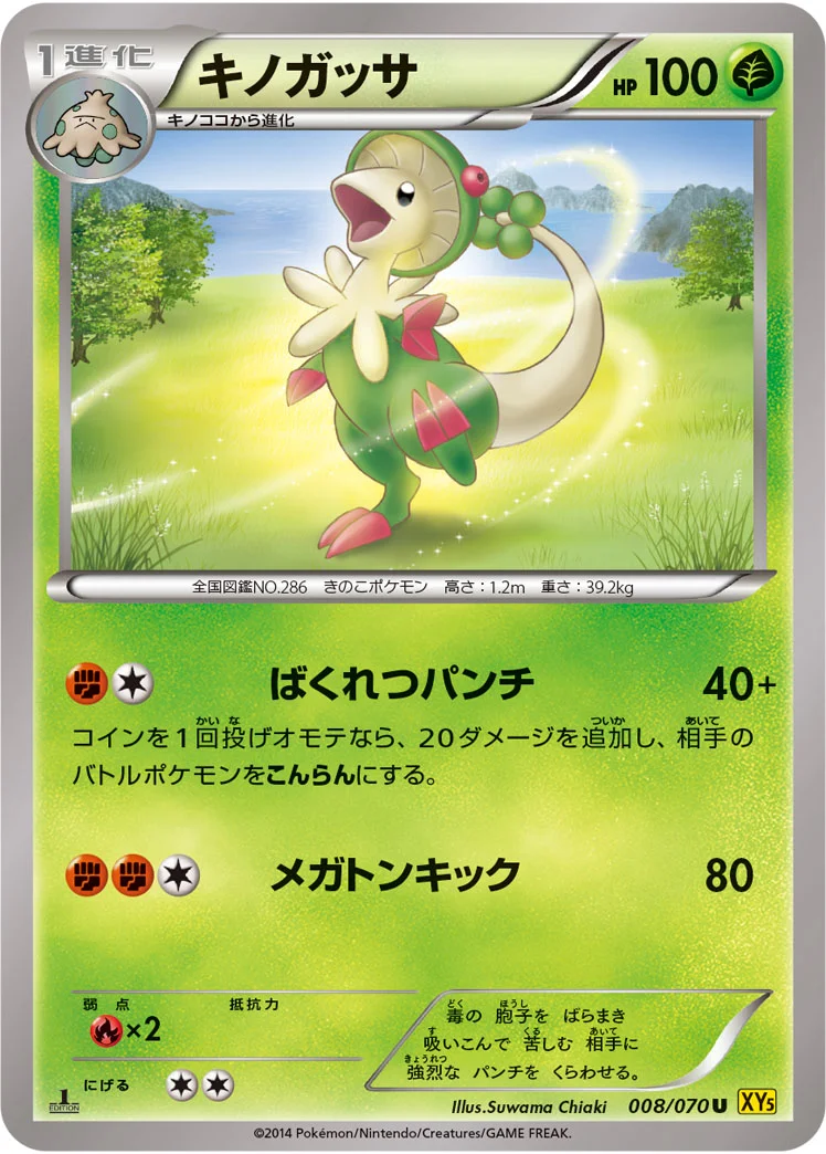キノガッサ (XY5-Bg 008/070)