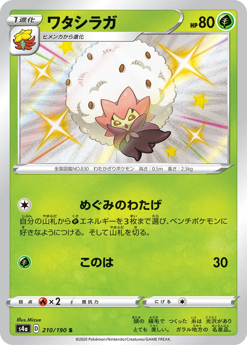ワタシラガ (S4a 210/190)