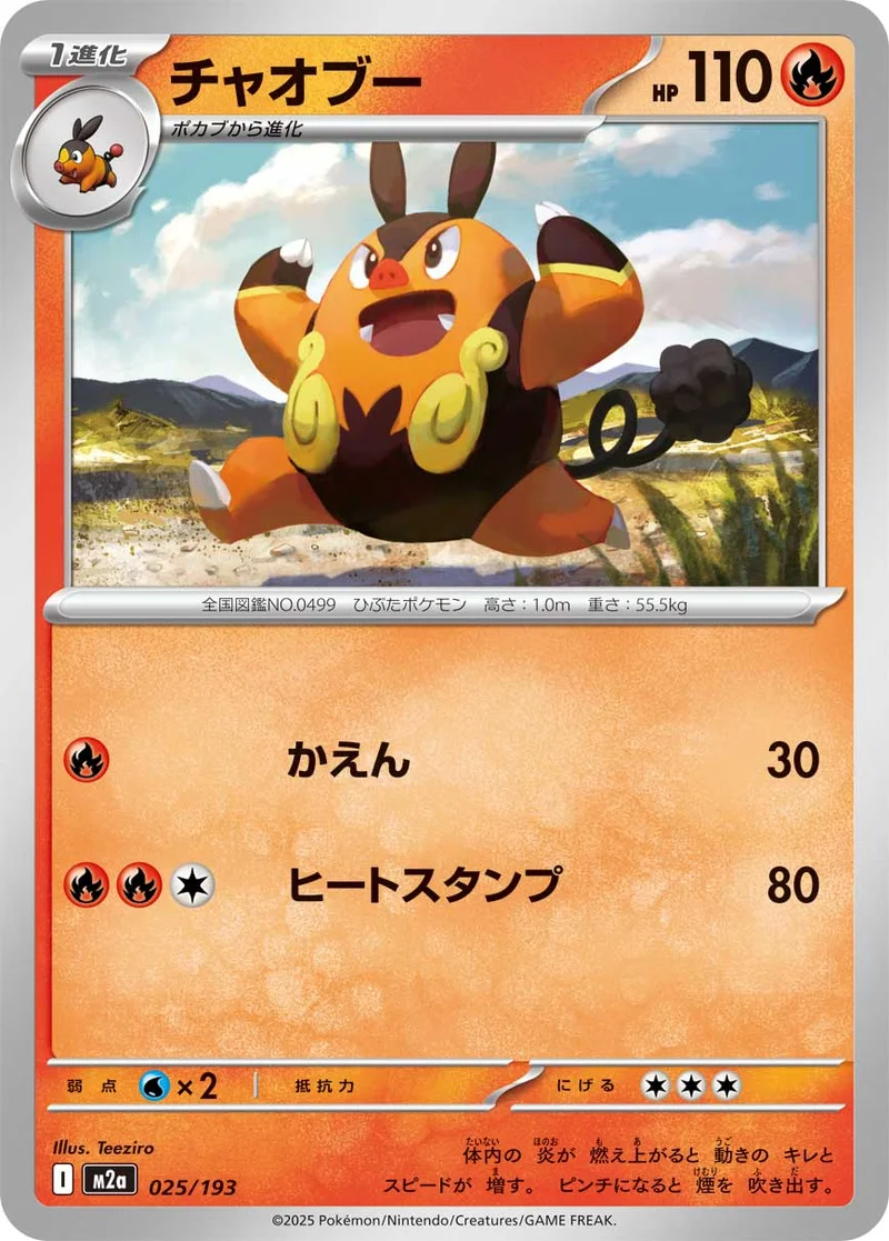 チャオブー (M2a 025/193)