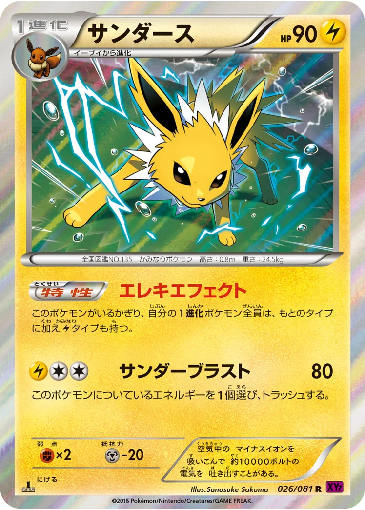 サンダース (XY7-B 026/081)