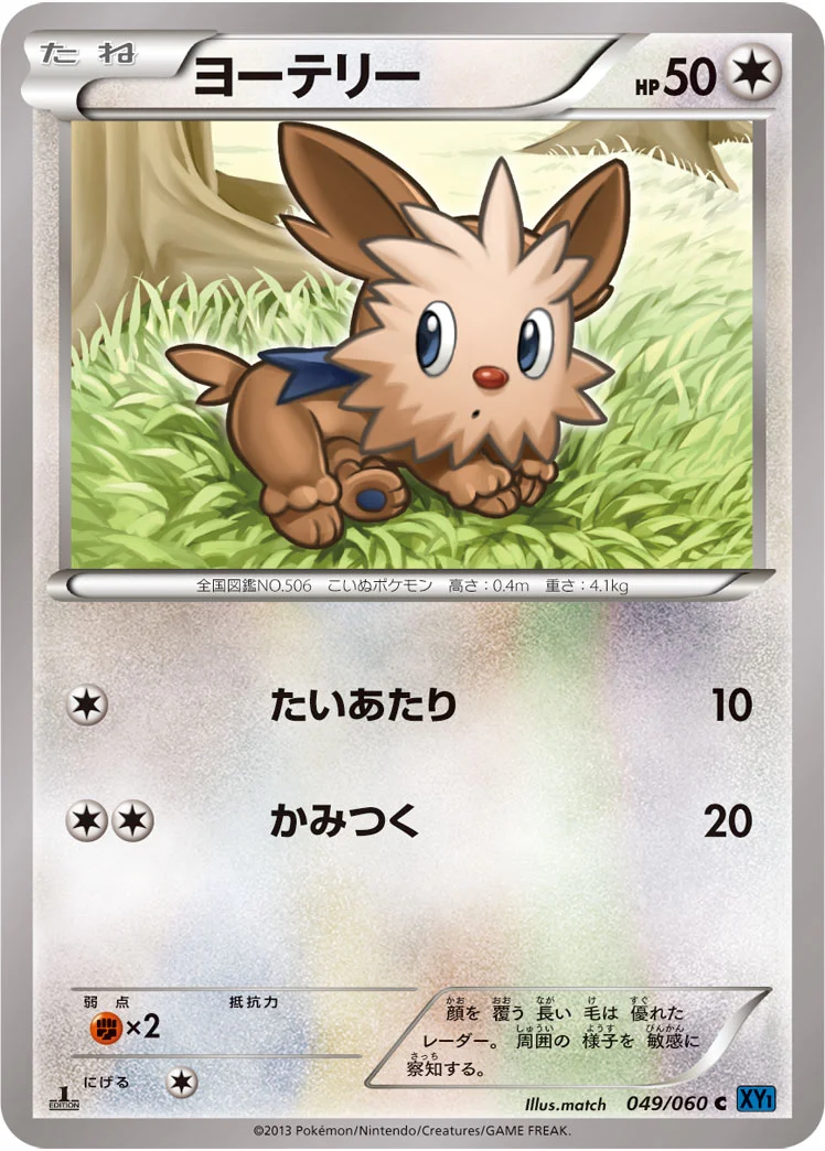 ヨーテリー (XY1-Bx 049/060)