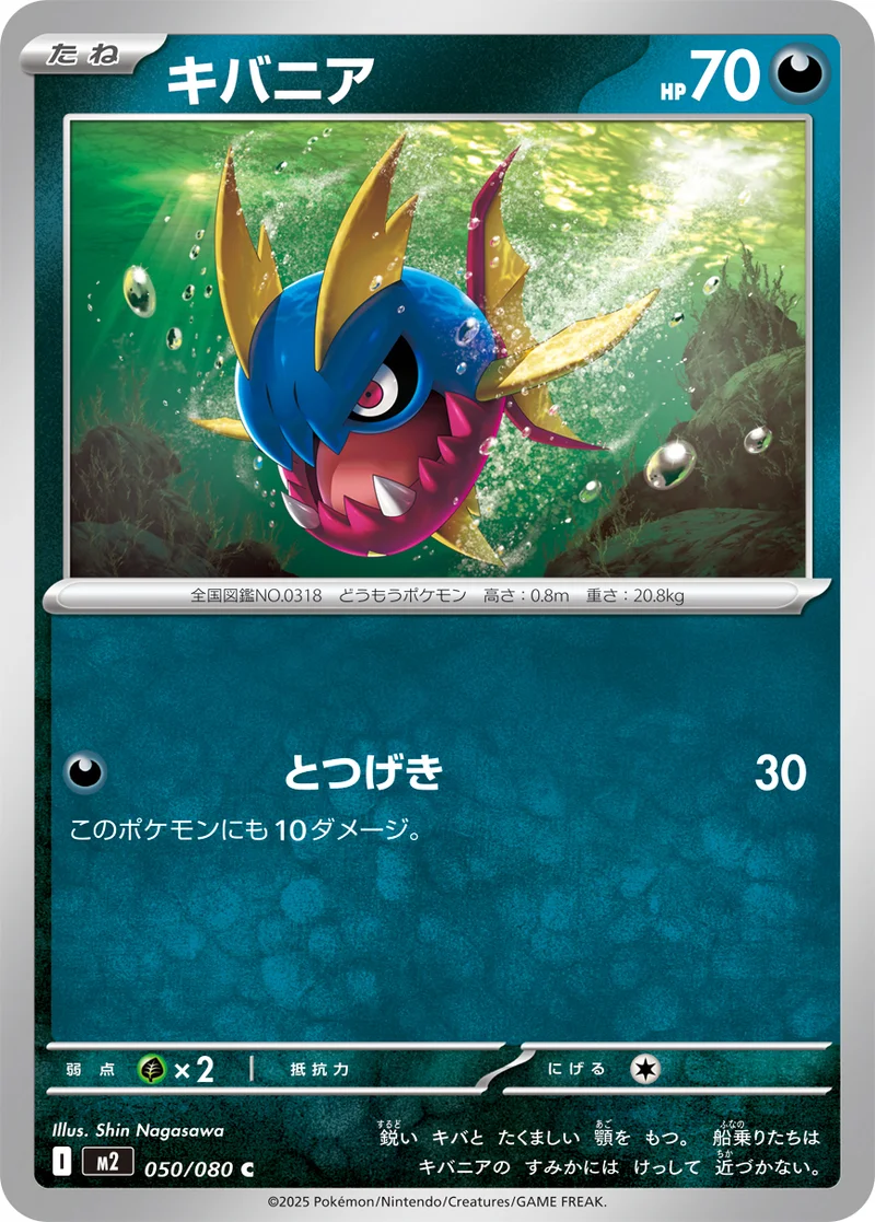 キバニア (M2 050/080)