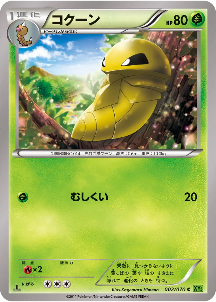 コクーン (XY5-Bt 002/070)