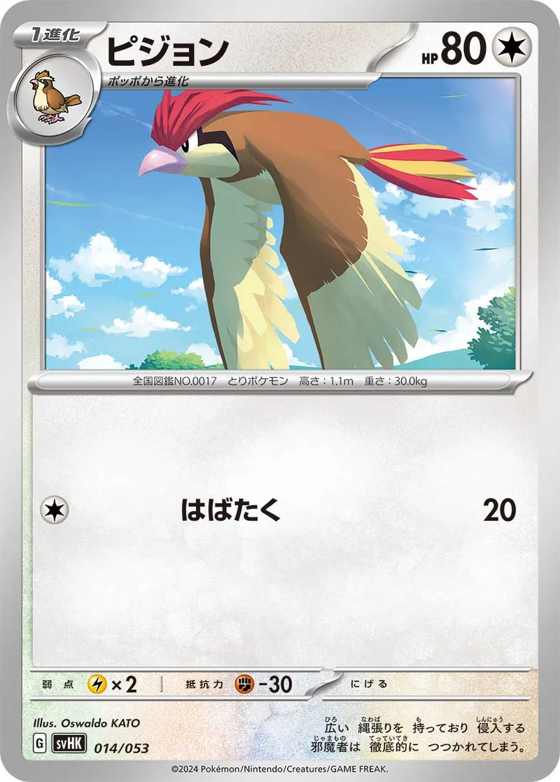 ピジョン (SVHK 014/053)