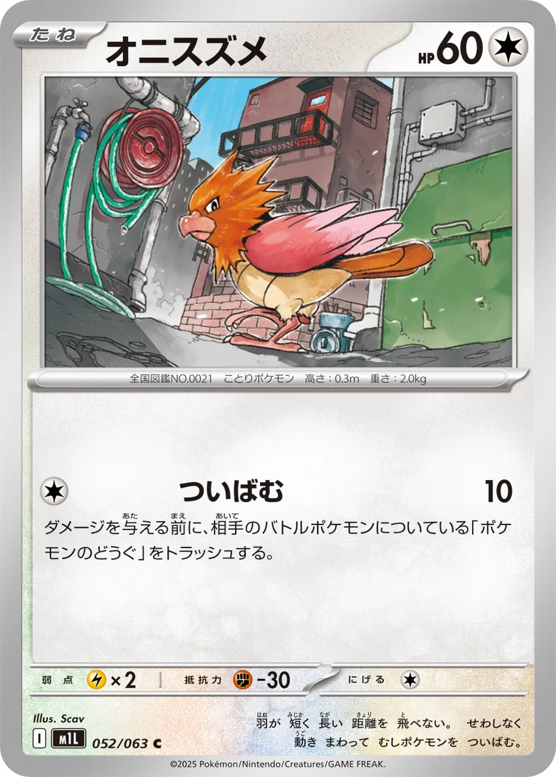 オニスズメ (M1L 052/063)