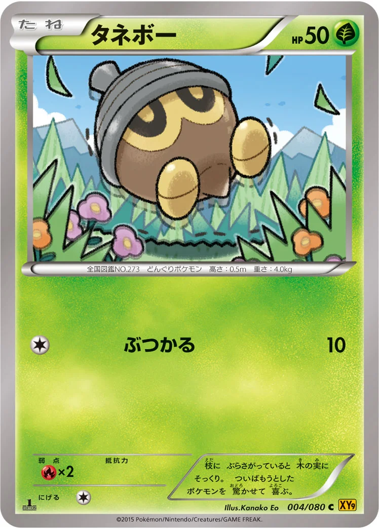 タネボー (XY9-B 004/080)