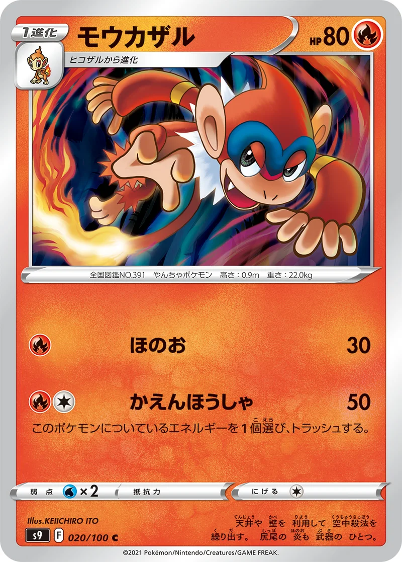 モウカザル (S9 020/100)