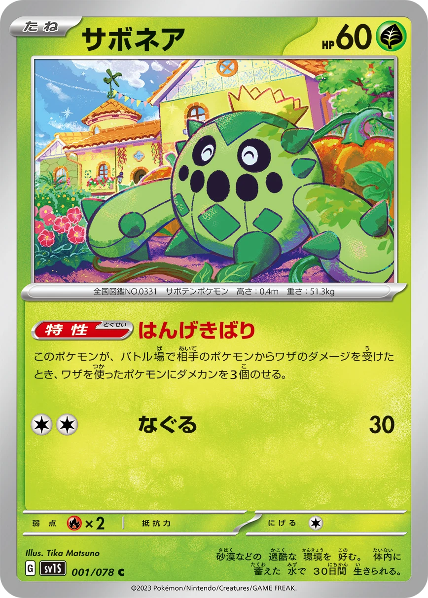 サボネア FRONT