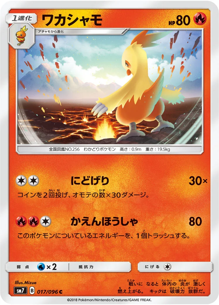 ワカシャモ (SM7 017/096)