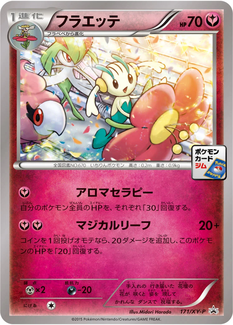 フラエッテ (XYP 171/XY-P)