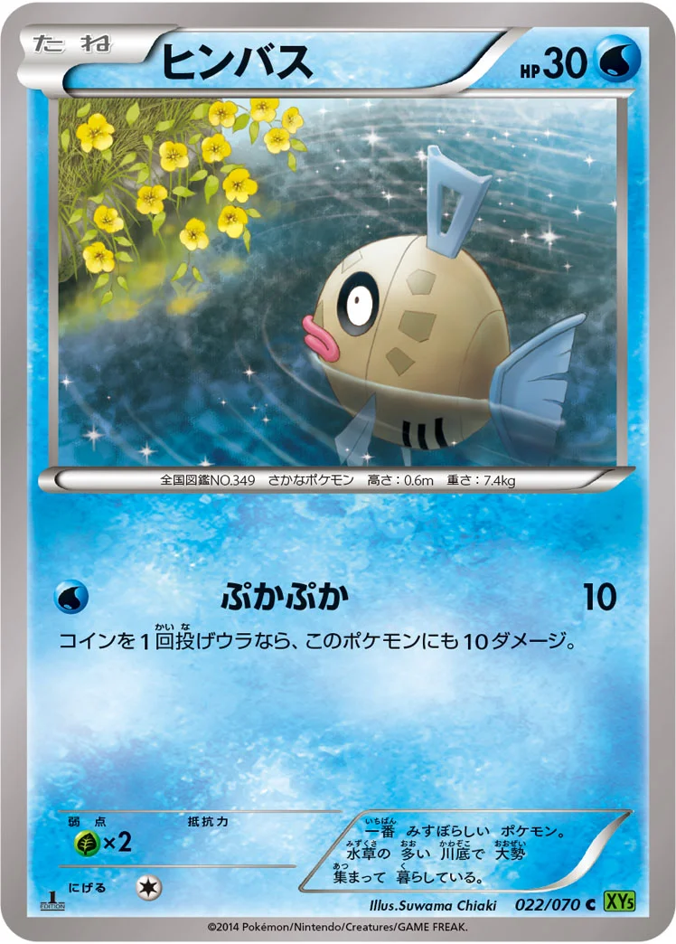 ヒンバス (XY5-Bt 022/070)