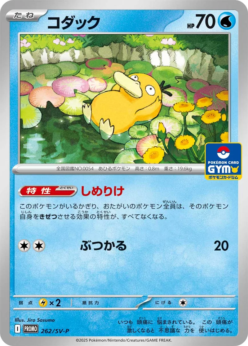 コダック (SV-P 262/SV-P)